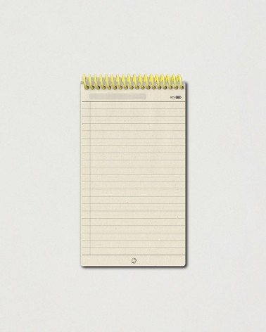 Smartbook A6 Mat Dervaux x Papier Tigre